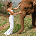 Lotus and Luna White Wide Leg Cotton Pants